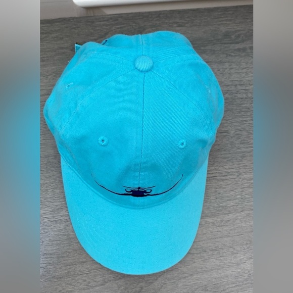 Comfort Colors MAGELLAN JET’S Blue Cap/hat Adjustable. - Picture 5 of 12